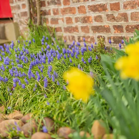 2 Bed In York 64455 Holiday home Sheriff Hutton